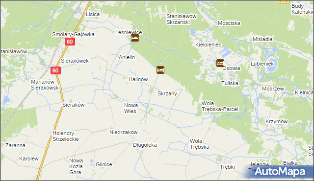 mapa Skrzany gmina Gostynin, Skrzany gmina Gostynin na mapie Targeo