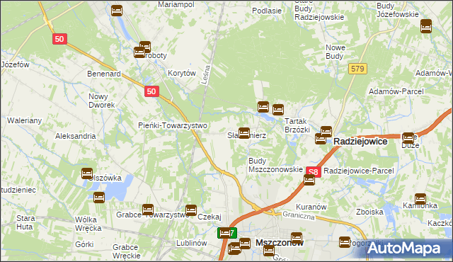 mapa Słabomierz gmina Radziejowice, Słabomierz gmina Radziejowice na mapie Targeo