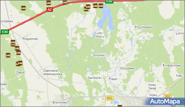 mapa Smolniki gmina Trzciel, Smolniki gmina Trzciel na mapie Targeo