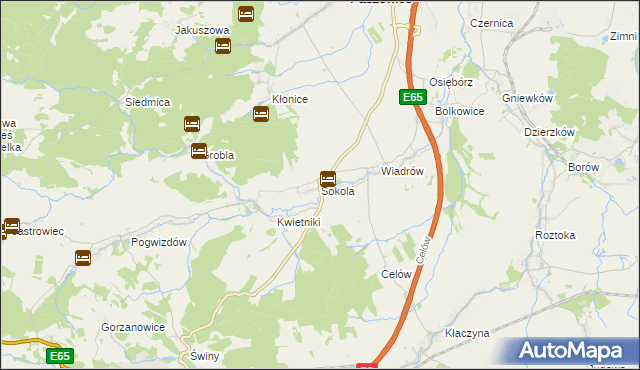 mapa Sokola gmina Paszowice, Sokola gmina Paszowice na mapie Targeo