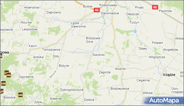mapa Sokolniki gmina Niegowa, Sokolniki gmina Niegowa na mapie Targeo