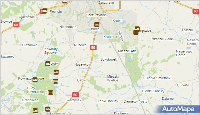 mapa Sokołówek gmina Ciechanów, Sokołówek gmina Ciechanów na mapie Targeo