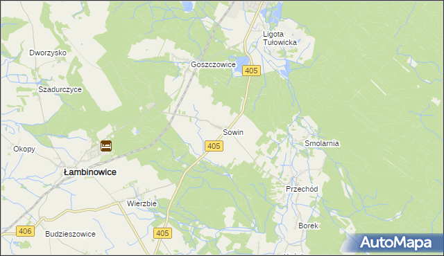 mapa Sowin gmina Łambinowice, Sowin gmina Łambinowice na mapie Targeo