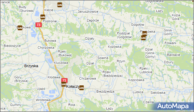 mapa Sowina gmina Kołaczyce, Sowina gmina Kołaczyce na mapie Targeo