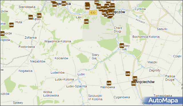 mapa Stary Gaj gmina Wojciechów, Stary Gaj gmina Wojciechów na mapie Targeo