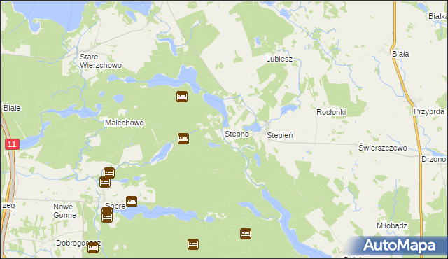 mapa Stepno, Stepno na mapie Targeo