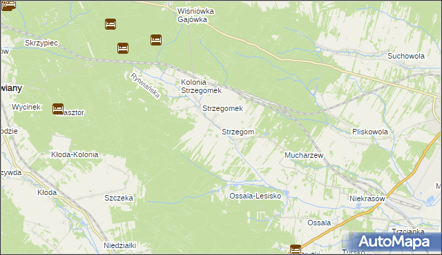 mapa Strzegom gmina Rytwiany, Strzegom gmina Rytwiany na mapie Targeo