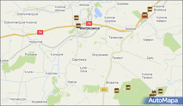 mapa Strzyżowiec gmina Werbkowice, Strzyżowiec gmina Werbkowice na mapie Targeo
