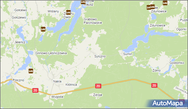 mapa Sylczno, Sylczno na mapie Targeo