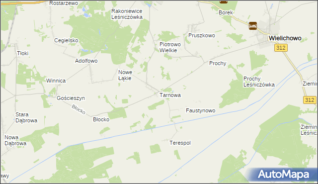 mapa Tarnowa gmina Rakoniewice, Tarnowa gmina Rakoniewice na mapie Targeo
