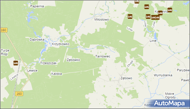 mapa Tarnowiec gmina Lwówek, Tarnowiec gmina Lwówek na mapie Targeo