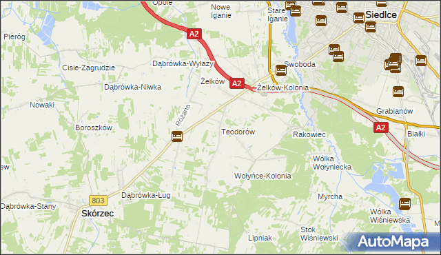 mapa Teodorów gmina Skórzec, Teodorów gmina Skórzec na mapie Targeo