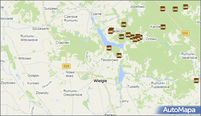 mapa Teodorowo gmina Wielgie, Teodorowo gmina Wielgie na mapie Targeo