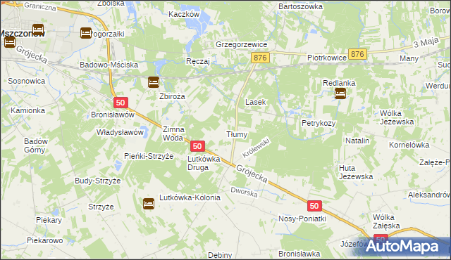 mapa Tłumy gmina Mszczonów, Tłumy gmina Mszczonów na mapie Targeo