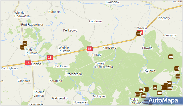 mapa Tokary gmina Golub-Dobrzyń, Tokary gmina Golub-Dobrzyń na mapie Targeo