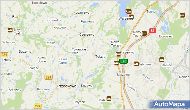 mapa Tokary gmina Przodkowo, Tokary gmina Przodkowo na mapie Targeo