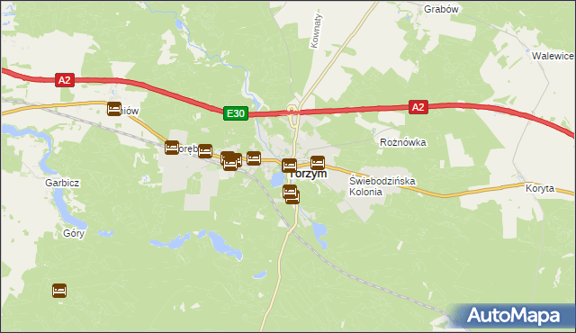 mapa Torzym, Torzym na mapie Targeo