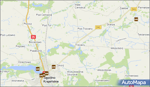 mapa Trzciany gmina Sępólno Krajeńskie, Trzciany gmina Sępólno Krajeńskie na mapie Targeo