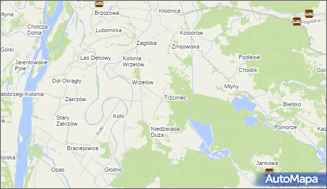 mapa Trzciniec gmina Łaziska, Trzciniec gmina Łaziska na mapie Targeo