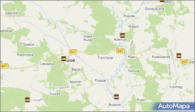 mapa Trzcińskie, Trzcińskie na mapie Targeo