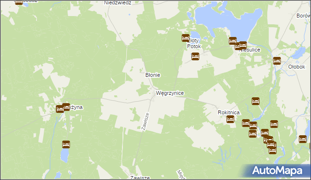 mapa Węgrzynice, Węgrzynice na mapie Targeo