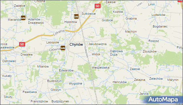 mapa Widok gmina Chynów, Widok gmina Chynów na mapie Targeo