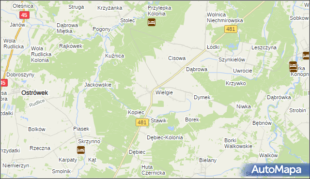 mapa Wielgie gmina Ostrówek, Wielgie gmina Ostrówek na mapie Targeo