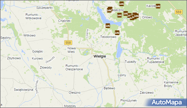 mapa Wielgie powiat lipnowski, Wielgie powiat lipnowski na mapie Targeo