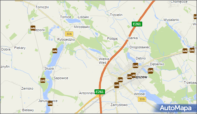 mapa Wielka Wieś gmina Stęszew, Wielka Wieś gmina Stęszew na mapie Targeo