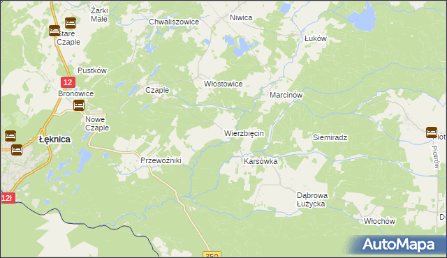 mapa Wierzbięcin gmina Trzebiel, Wierzbięcin gmina Trzebiel na mapie Targeo