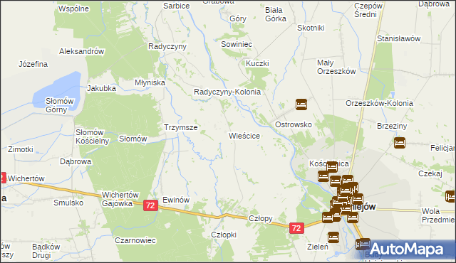 mapa Wieścice, Wieścice na mapie Targeo