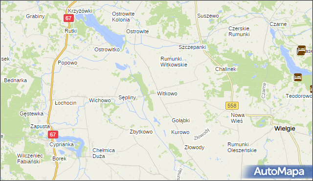 mapa Witkowo gmina Wielgie, Witkowo gmina Wielgie na mapie Targeo