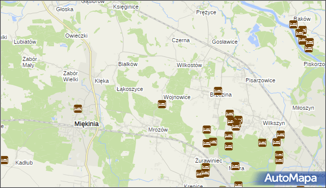 mapa Wojnowice gmina Miękinia, Wojnowice gmina Miękinia na mapie Targeo