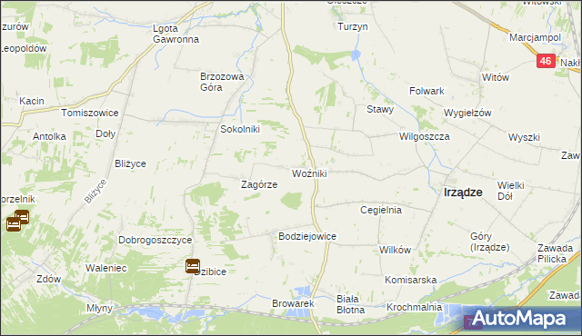 mapa Woźniki gmina Irządze, Woźniki gmina Irządze na mapie Targeo