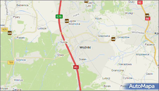 mapa Woźniki powiat lubliniecki, Woźniki powiat lubliniecki na mapie Targeo