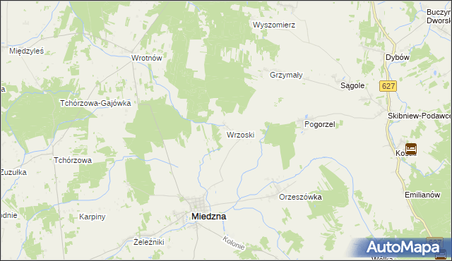 mapa Wrzoski gmina Miedzna, Wrzoski gmina Miedzna na mapie Targeo