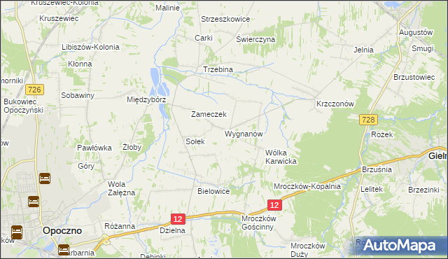 mapa Wygnanów gmina Opoczno, Wygnanów gmina Opoczno na mapie Targeo