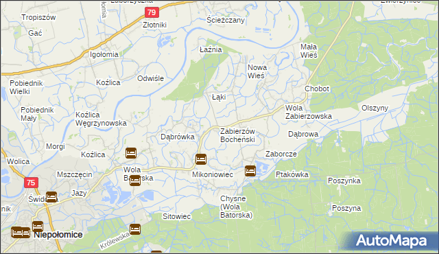 mapa Zabierzów Bocheński, Zabierzów Bocheński na mapie Targeo