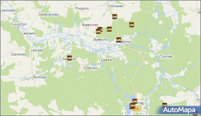 mapa Zalesie gmina Malechowo, Zalesie gmina Malechowo na mapie Targeo