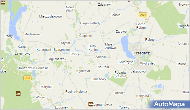 mapa Zalesie gmina Przedecz, Zalesie gmina Przedecz na mapie Targeo