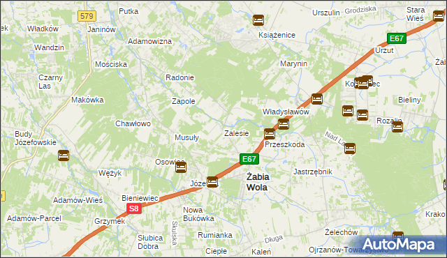 mapa Zalesie gmina Żabia Wola, Zalesie gmina Żabia Wola na mapie Targeo