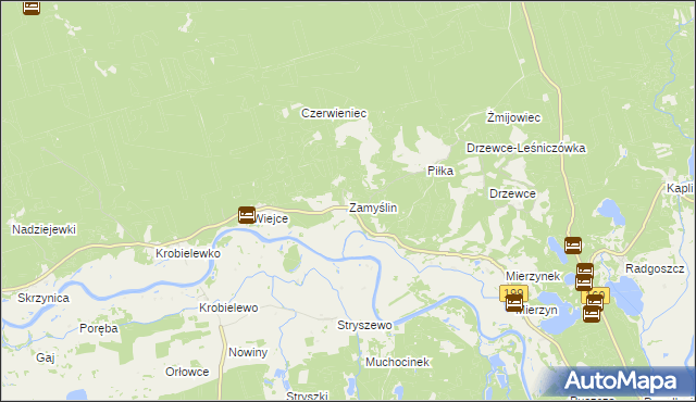 mapa Zamyślin gmina Międzychód, Zamyślin gmina Międzychód na mapie Targeo