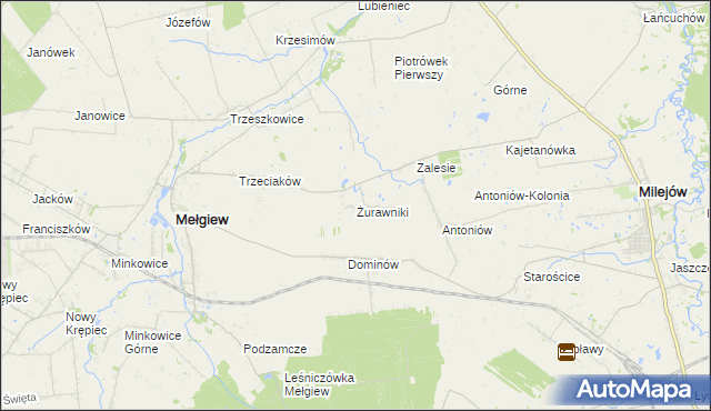 mapa Żurawniki gmina Mełgiew, Żurawniki gmina Mełgiew na mapie Targeo