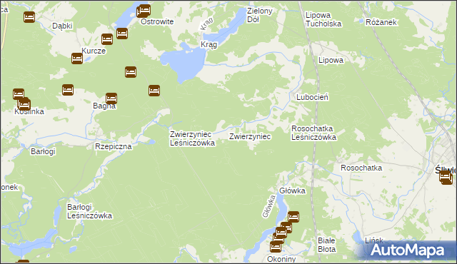 mapa Zwierzyniec gmina Śliwice, Zwierzyniec gmina Śliwice na mapie Targeo