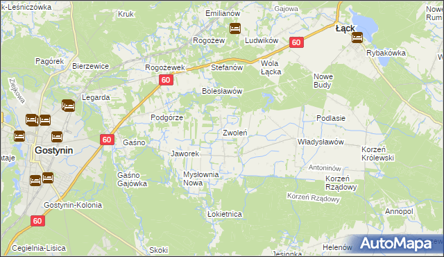 mapa Zwoleń gmina Gostynin, Zwoleń gmina Gostynin na mapie Targeo