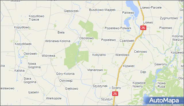 mapa Kobylanki gmina Skulsk, Kobylanki gmina Skulsk na mapie Targeo