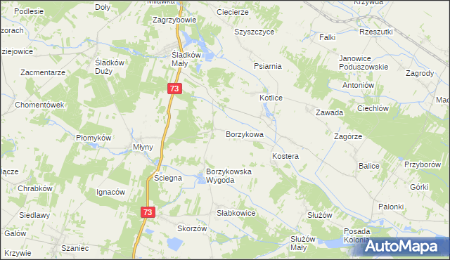 mapa Borzykowa gmina Chmielnik, Borzykowa gmina Chmielnik na mapie Targeo