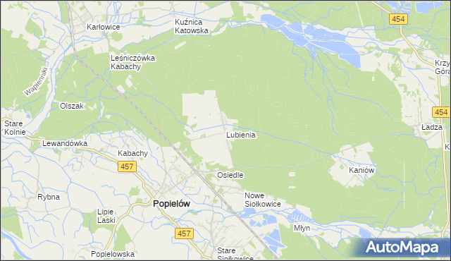 mapa Lubienia gmina Popielów, Lubienia gmina Popielów na mapie Targeo