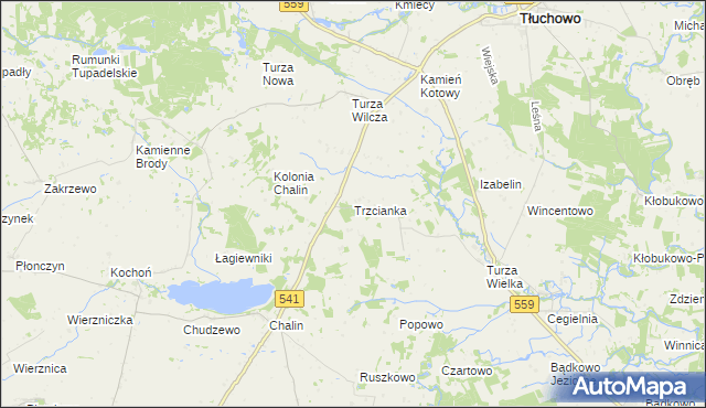 mapa Trzcianka gmina Tłuchowo, Trzcianka gmina Tłuchowo na mapie Targeo