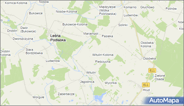 mapa Witulin-Kolonia, Witulin-Kolonia na mapie Targeo